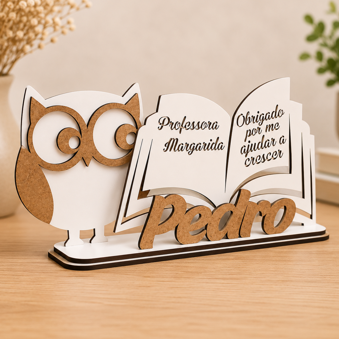 Lembrança Professores - Livro