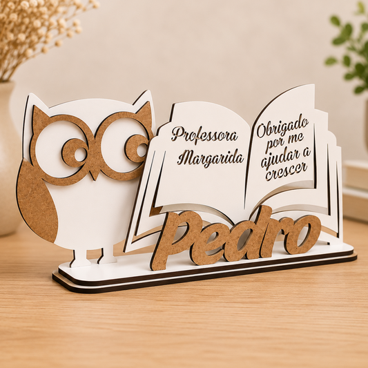 Lembrança Professores - Livro